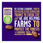 Cadbury Dairy Milk Fruit & Nut Chocolate 35g Pack of 12