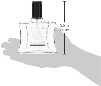 Brut OCEANS EDT Long Lasting Enriched Signature Scented Perfume Spray for Men 280.0 grams, 100.0 milliliters, 1