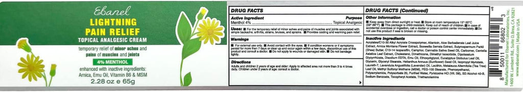 Ebanel Pain Relief Cream, 2.28 Oz Arnica Menthol Arthritis Pain Relief Muscle Rub with MSM, Emu Oil, Hemp Oil, Anti Inflammatory Cream with Camphor, Boswellia for Back Pain, Neck Shoulder Joint Pain