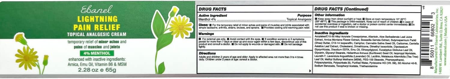 Ebanel Pain Relief Cream, 2.28 Oz Arnica Menthol Arthritis Pain Relief Muscle Rub with MSM, Emu Oil, Hemp Oil, Anti Inflammatory Cream with Camphor, Boswellia for Back Pain, Neck Shoulder Joint Pain