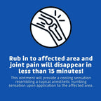 De La Cruz Pain Relief Cream - Maximum Strength Muscle and Joint Camphor Ointment, 2.5oz(70.9g)