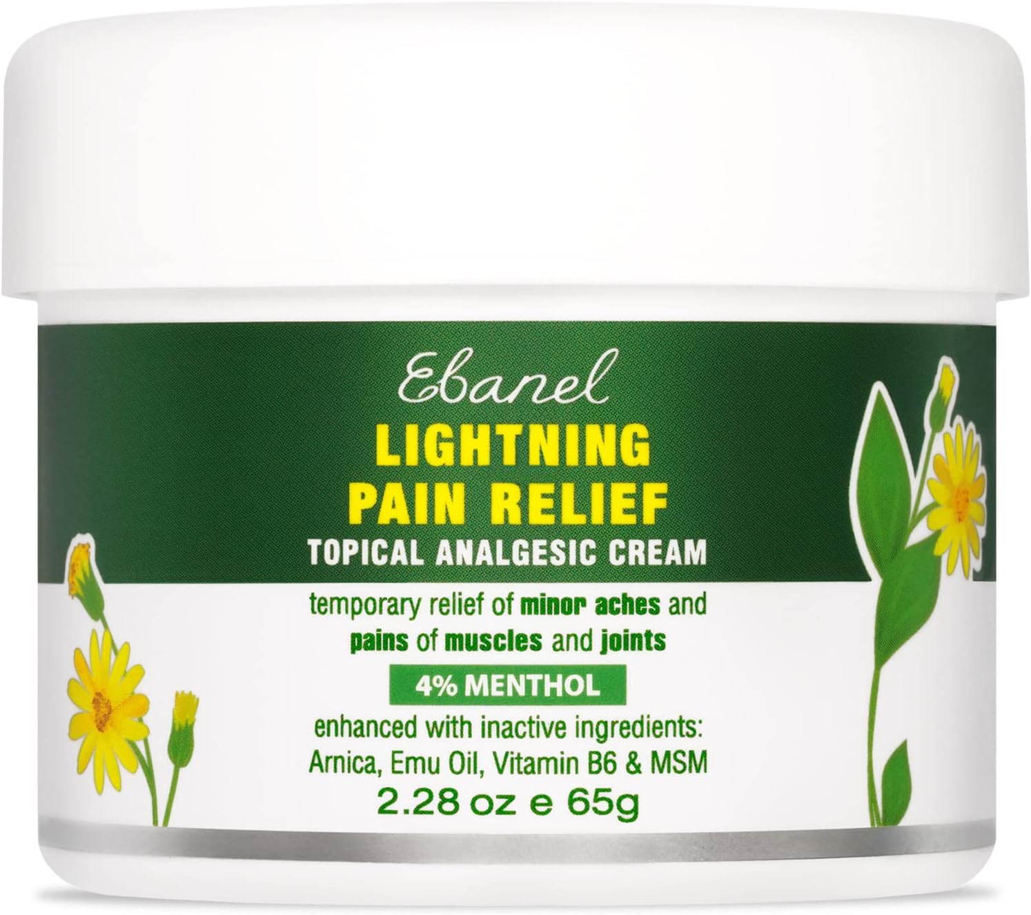 Ebanel Pain Relief Cream, 2.28 Oz Arnica Menthol Arthritis Pain Relief Muscle Rub with MSM, Emu Oil, Hemp Oil, Anti Inflammatory Cream with Camphor, Boswellia for Back Pain, Neck Shoulder Joint Pain