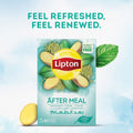 Lipton After Meal Herbal Infusion Tea (20 Enveloped Tea Bags, 30g)