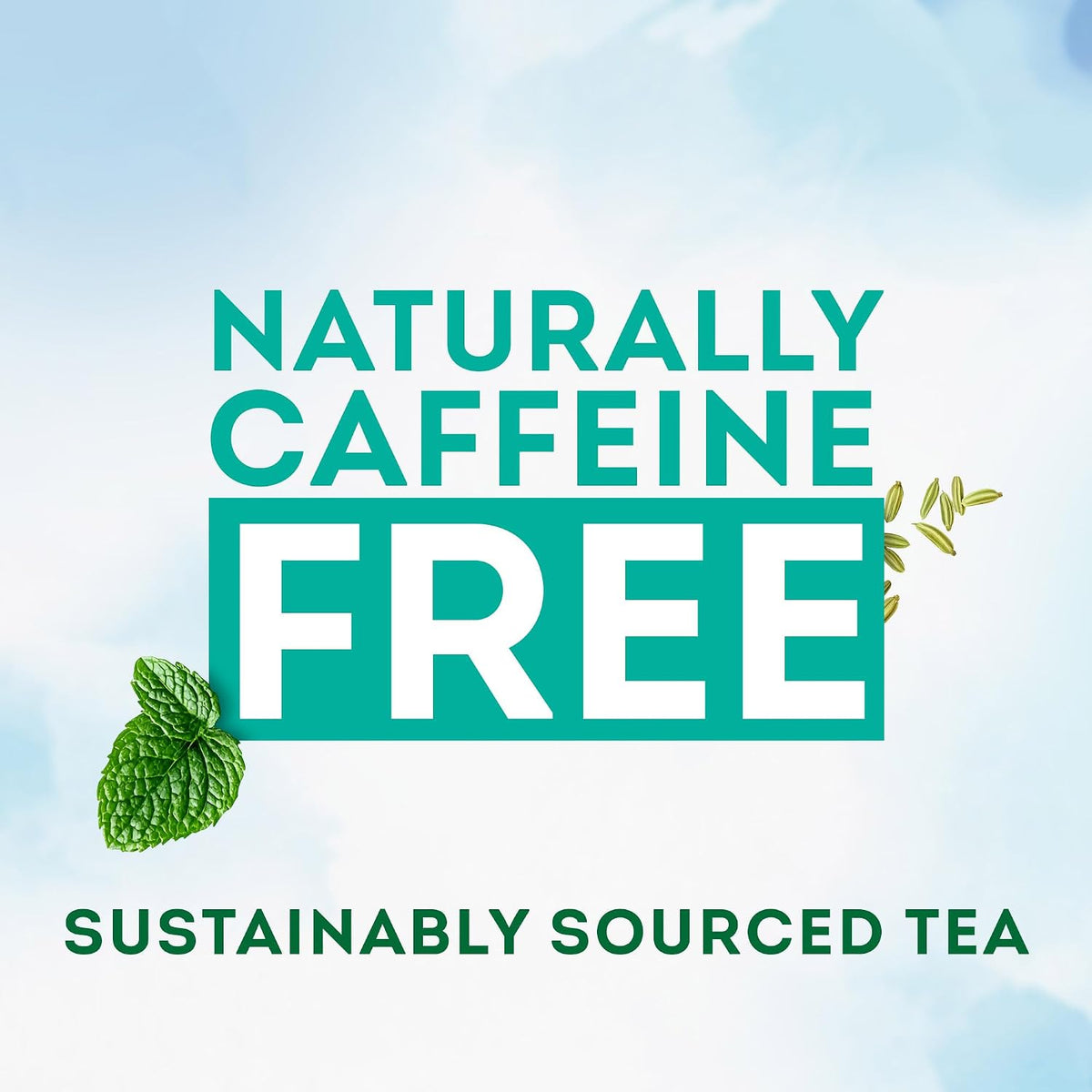 Lipton After Meal Herbal Infusion Tea (20 Enveloped Tea Bags, 30g)