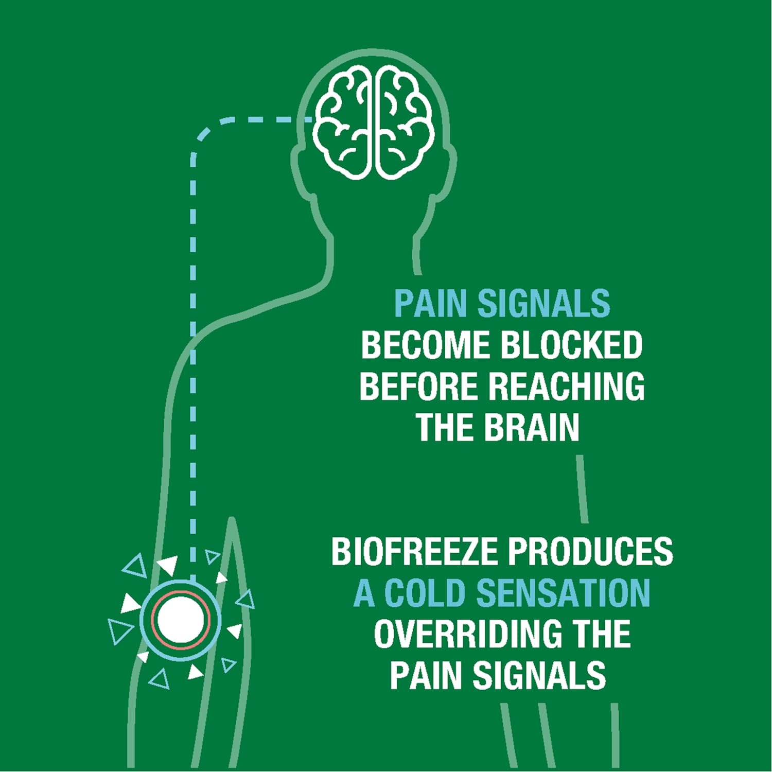Biofreeze Pain Relieving Roll On - 89ml
