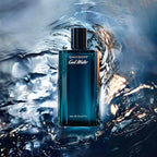 Davidoff Cool Water Eau de Toilette Spray for Men 75 ml