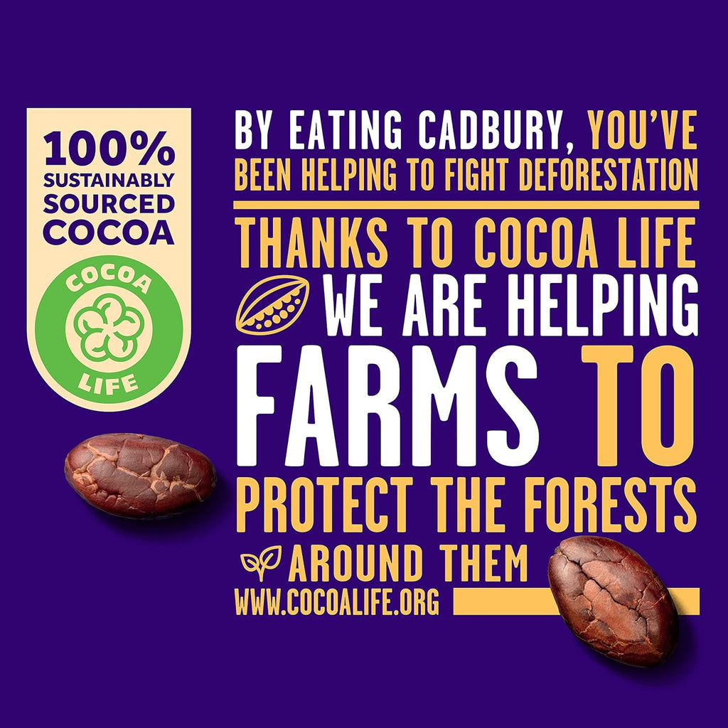 Cadbury Dairy Milk Chocolate With Hazelnuts, 90 gm