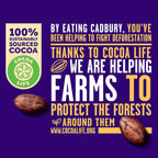 Cadbury Dairy Milk Hazelnut Chocolate 227g