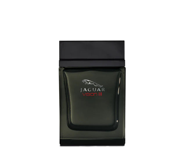 Jaguar Vision III - perfume for men, 100 ml EDT Spray