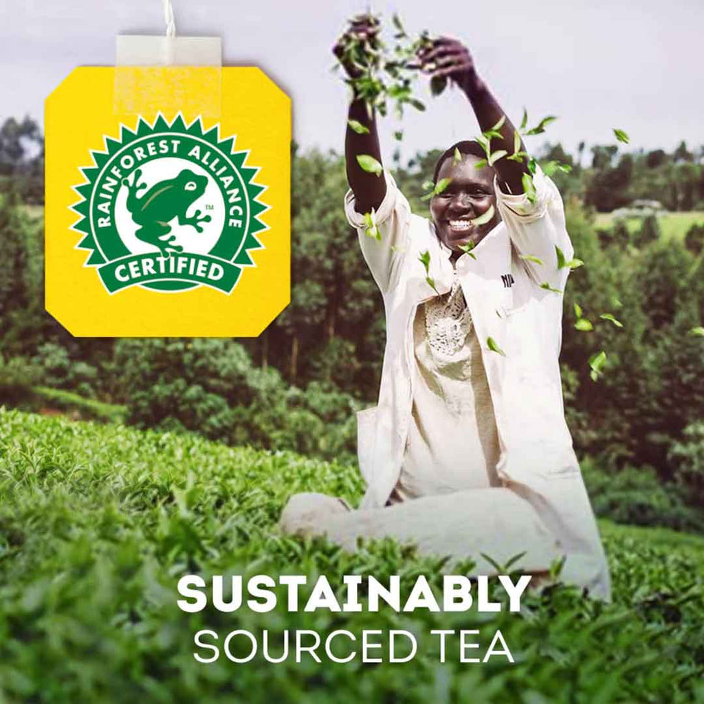 Lipton Green Tea Pure 50 Envelope Tea Bags