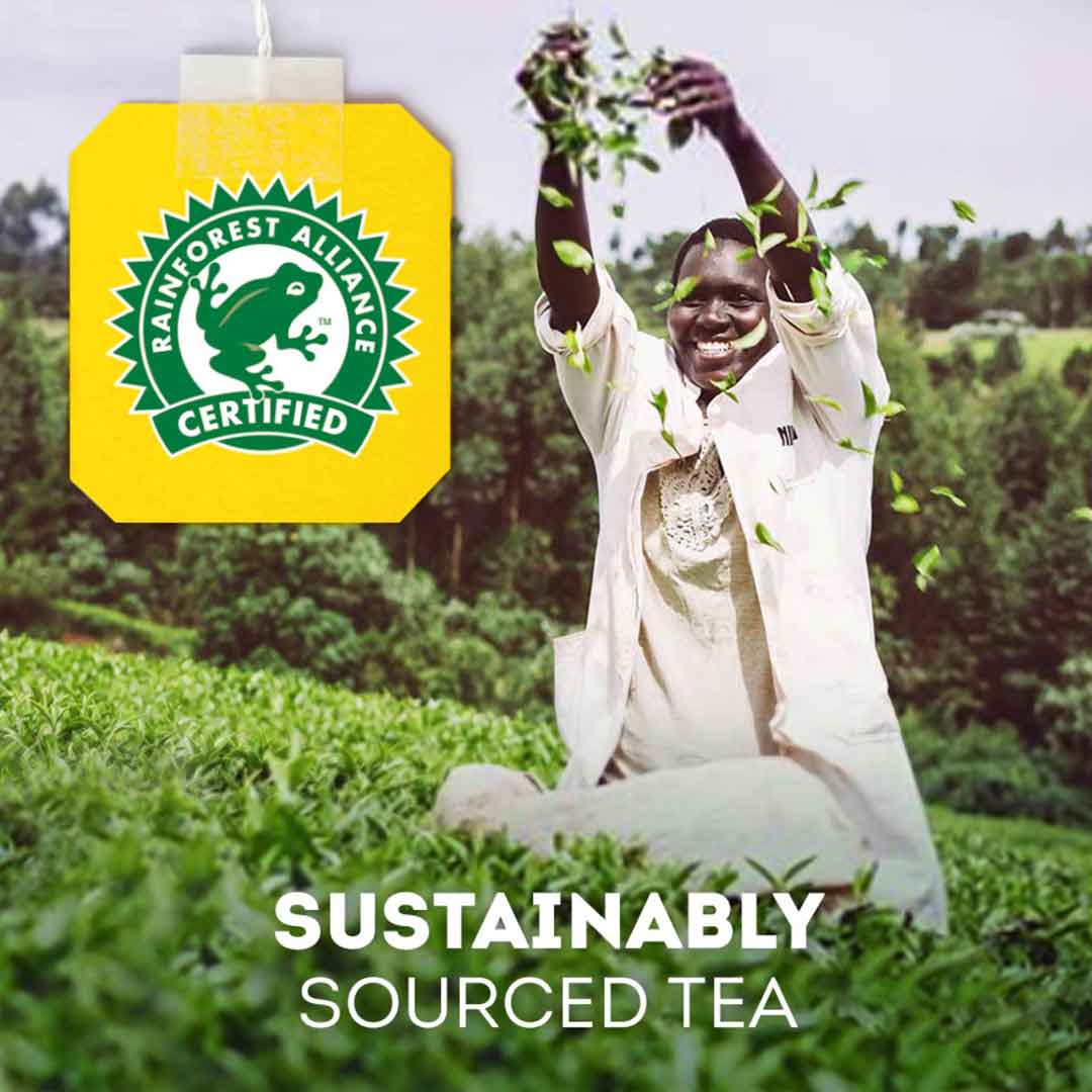 Lipton Green Tea Pure 50 Envelope Tea Bags