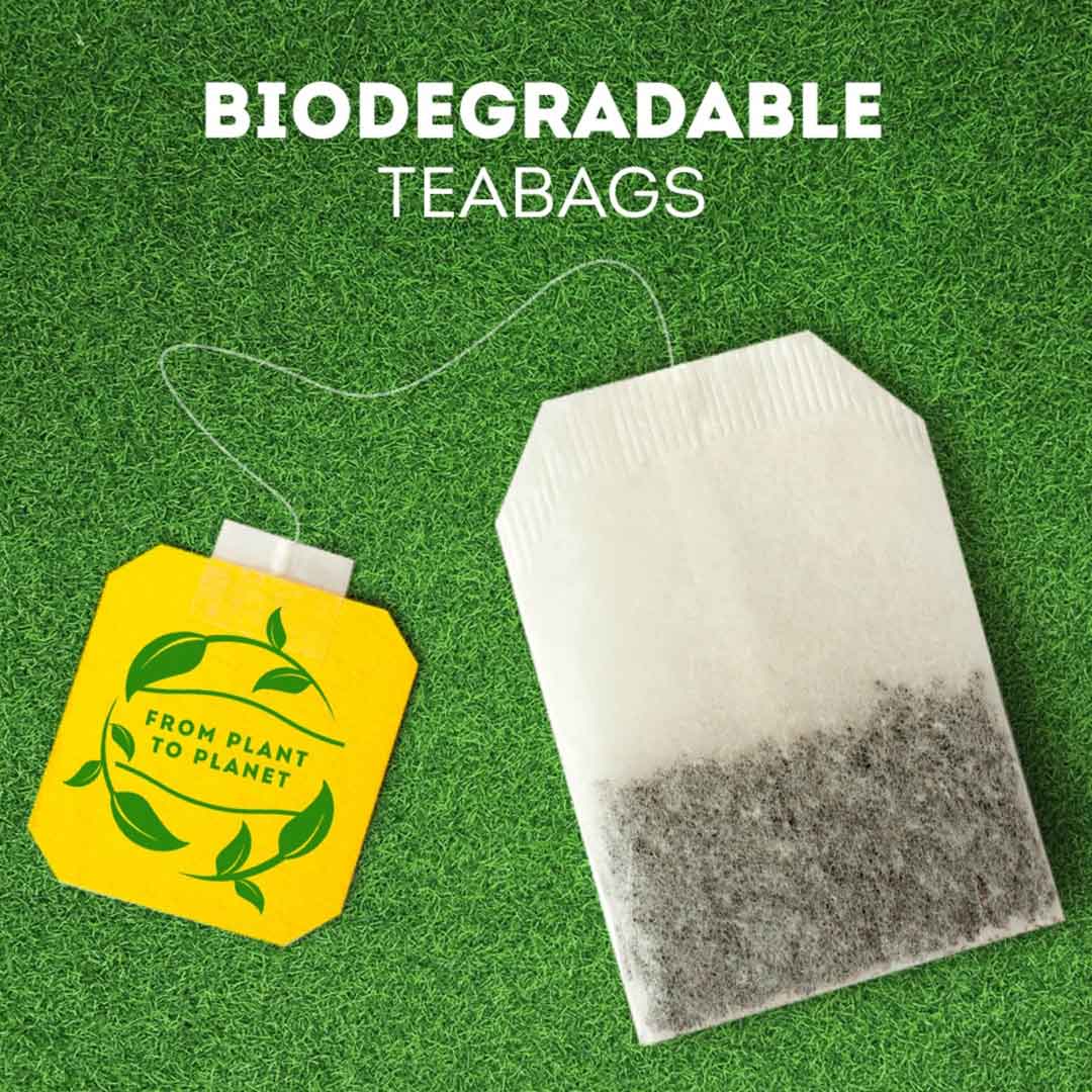 Lipton Green Tea Pure 50 Envelope Tea Bags