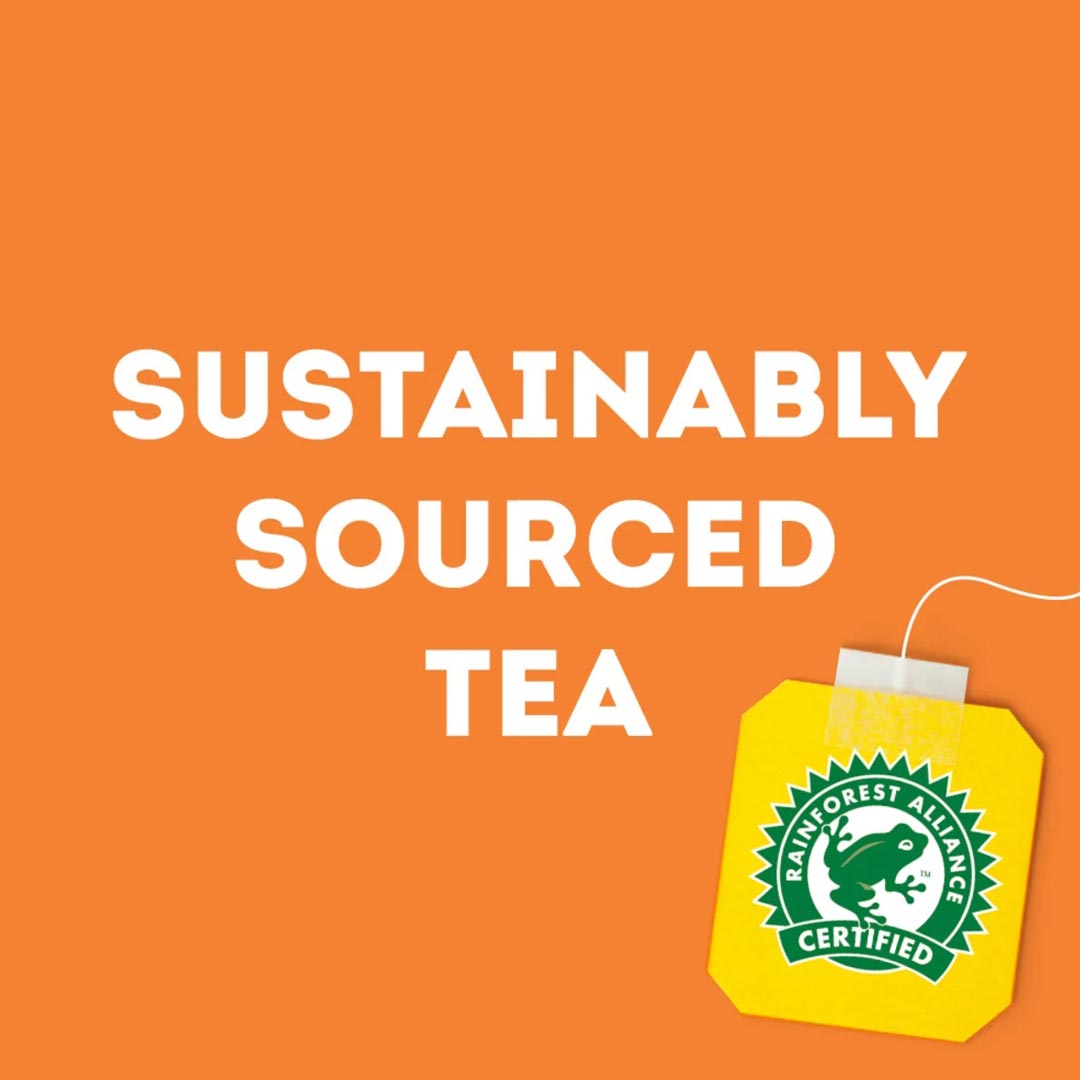 Lipton Herbal Infusion Tea Mint 20 Teabags
