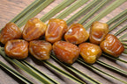 Sukkari Rotab - 1kg