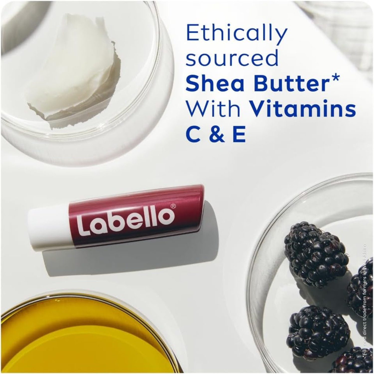 Labello Blackberry Shine Lip Balm, 24H Melt-In Moisture, with Shea Butter and Natural Oils Enriched with Vitamins, with Natural Ingredients, Mineral Oil Free, Vegan, 4.8g