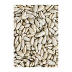 Sunflower Seed 500gm