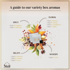 Oud Bakhoor Variety Box & Burner by Dukhni | Assorted Box | 20 pieces Bakhoor | Starter Kit | Authentic Arabic Incense | Perfect Ramadan Decor & Eid Gift Hampers