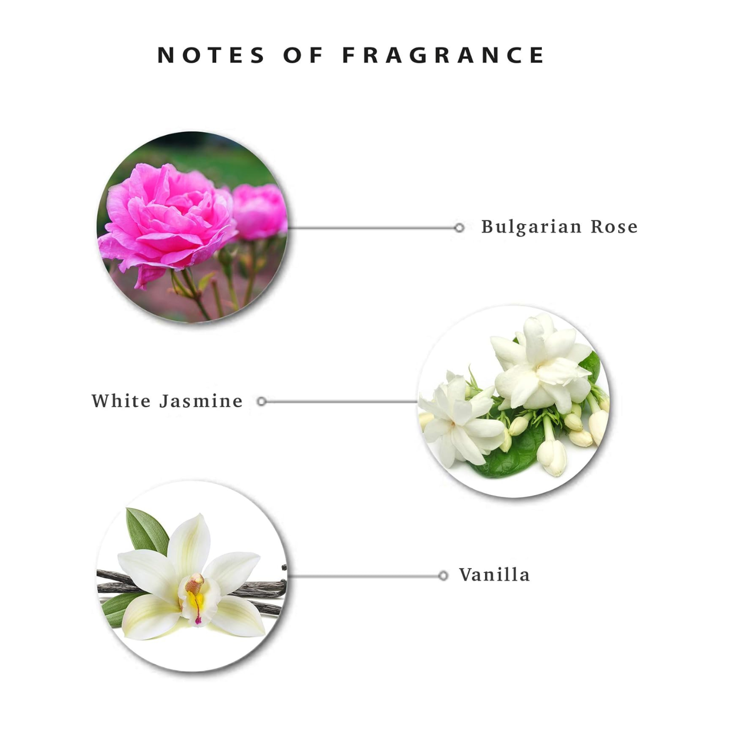 EnchantEUr Romantic Eau De Toilette, Perfume For Women, Long Lasting Fragrance, 100 Ml