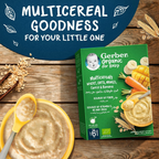 Nestle Gerber Bio Mango, Wheat, & Oat 200g