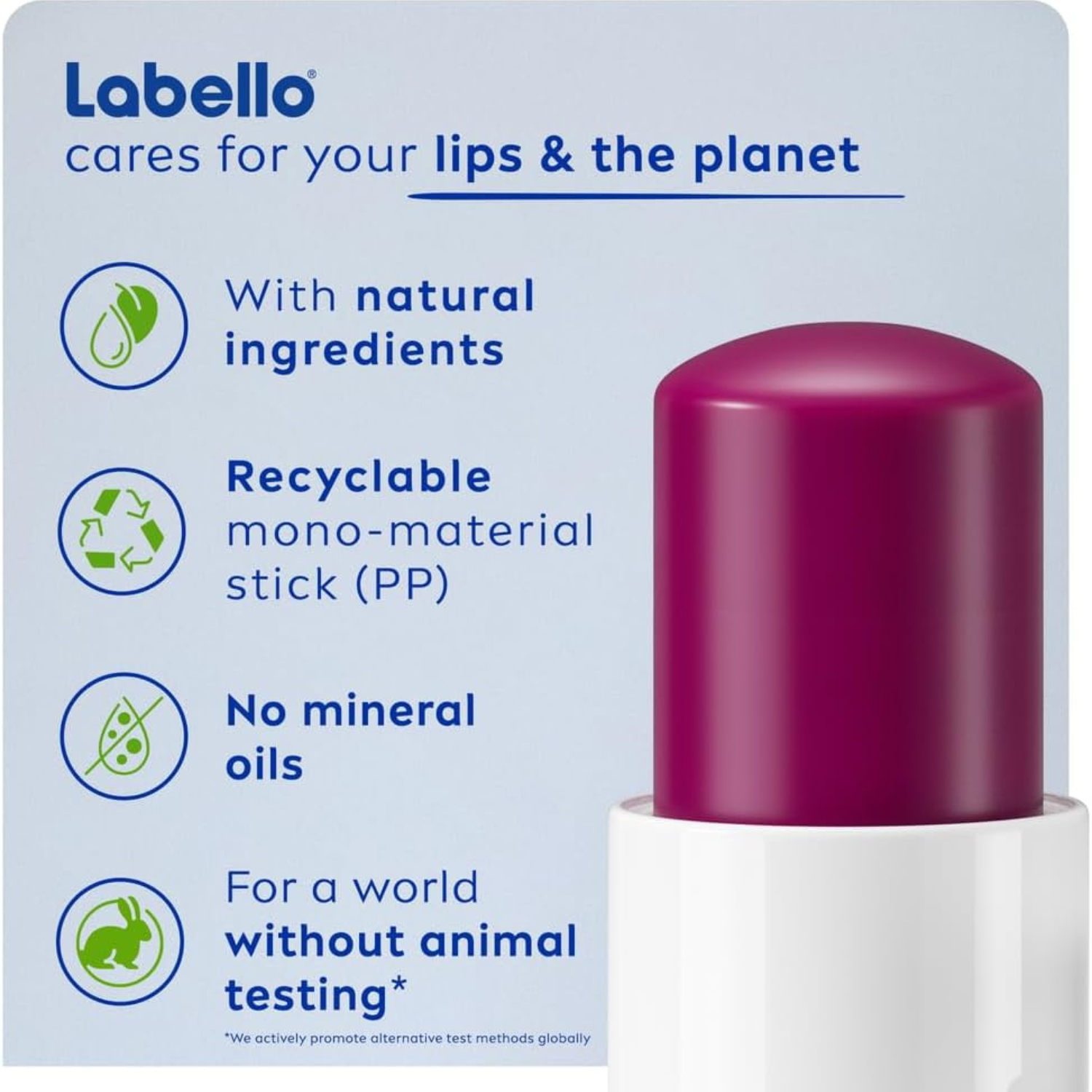 Labello Blackberry Shine Lip Balm, 24H Melt-In Moisture, with Shea Butter and Natural Oils Enriched with Vitamins, with Natural Ingredients, Mineral Oil Free, Vegan, 4.8g
