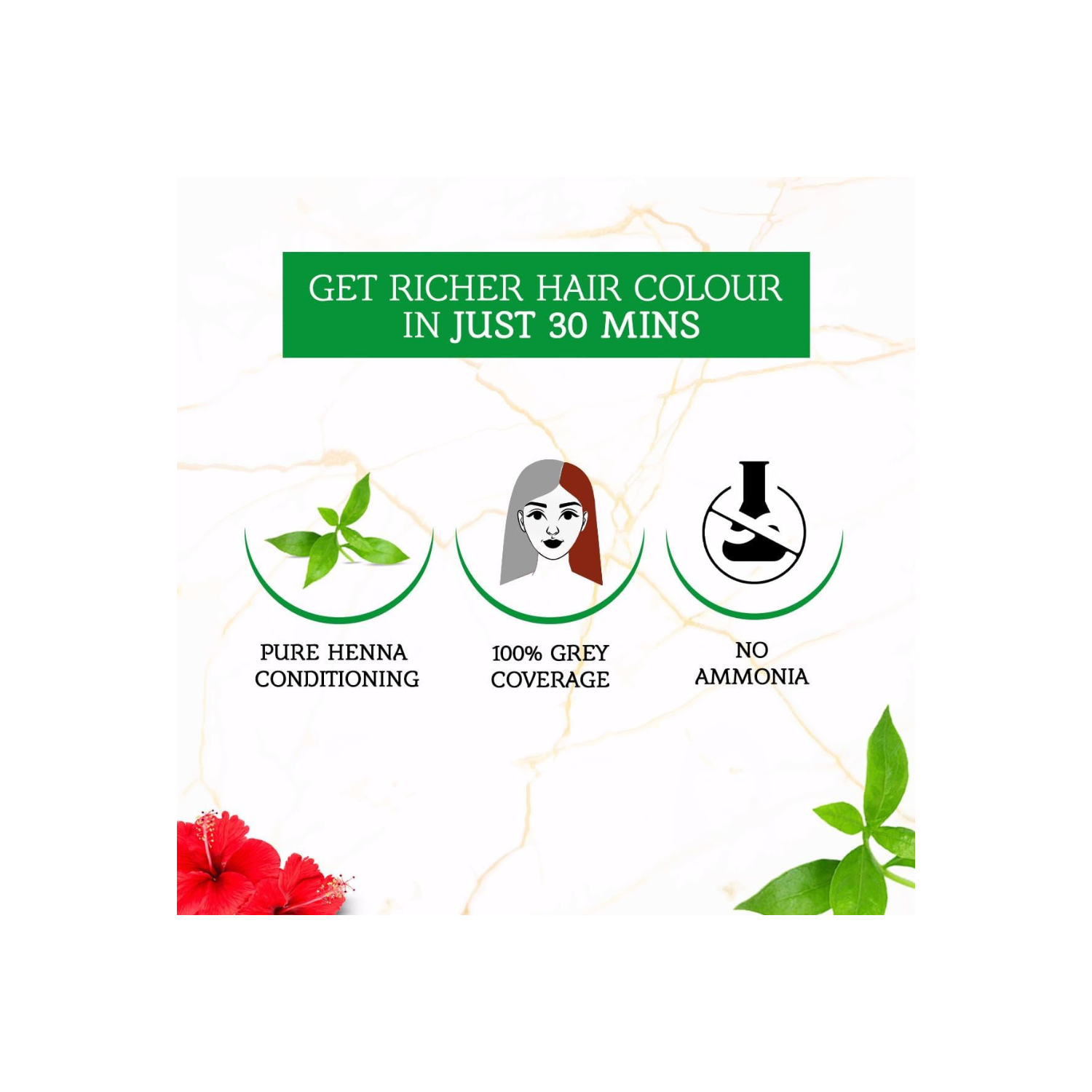 Vatika Naturals Henna Hair Color 6 X 10 g (pack of 2) | Burgundy Color for Healthy & Nourished Hairs | Ammonia Free | For Women